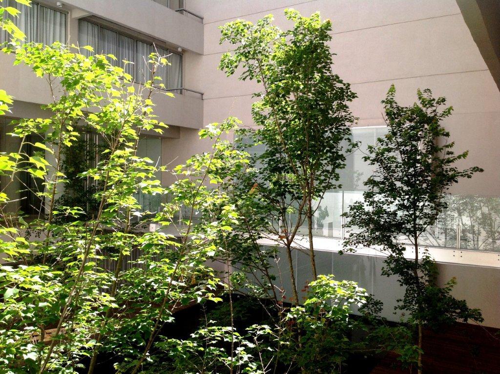 Riva Urban Lofts By Tay Hotels - Buenos Aires — Fotos 2